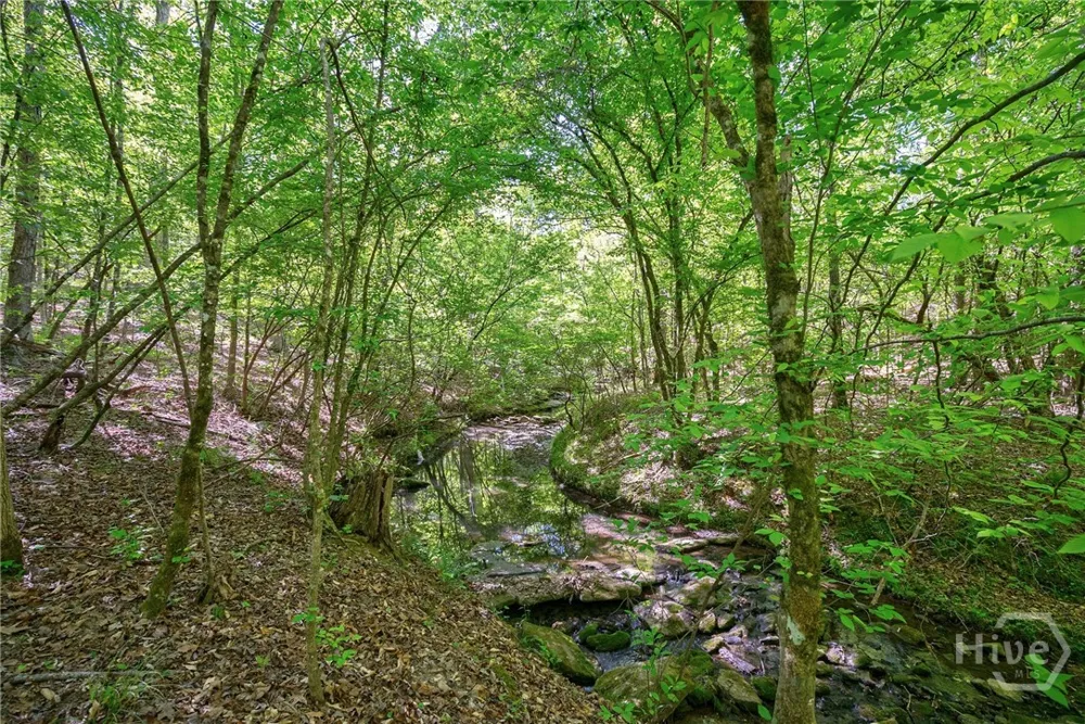 Brewer's Bridge Road Elberton, GA 30635