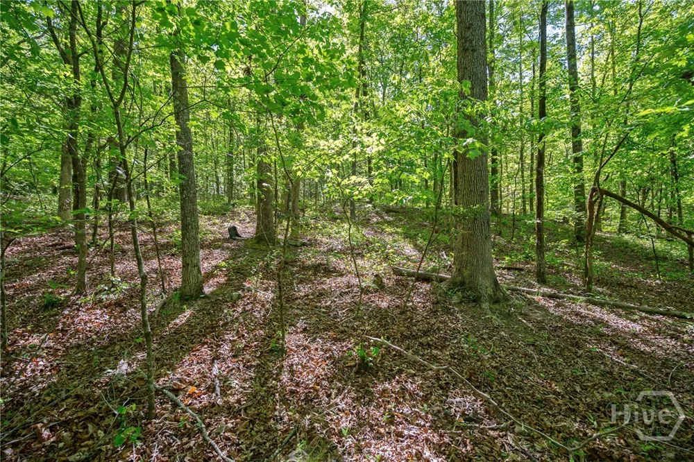 Brewer's Bridge Road Elberton, GA 30635