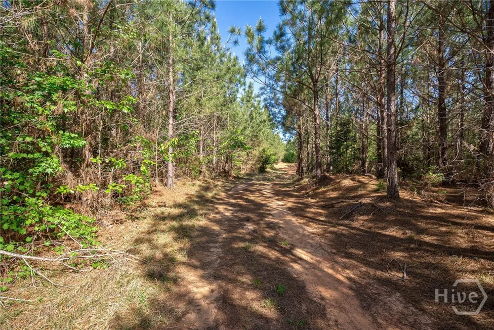 Brewer's Bridge Road Elberton, GA 30635