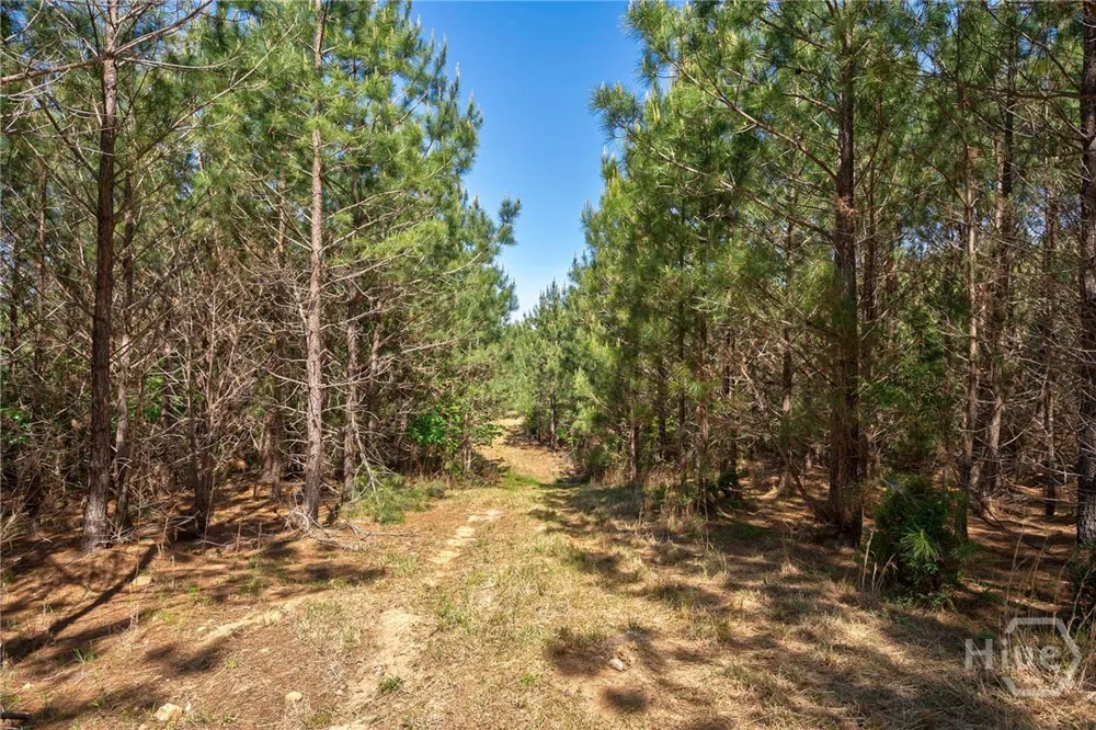 Brewer's Bridge Road Elberton, GA 30635