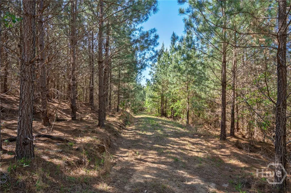 Brewer's Bridge Road Elberton, GA 30635