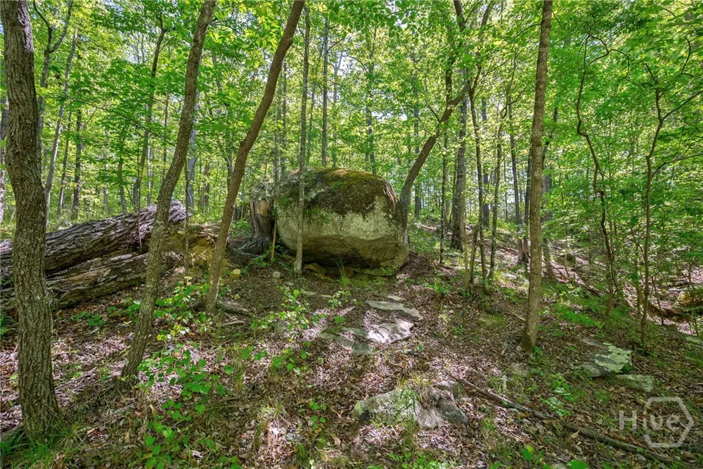 Brewer's Bridge Road Elberton, GA 30635