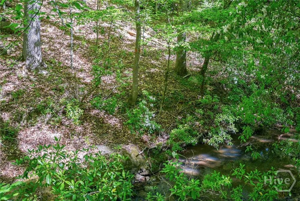 Brewer's Bridge Road Elberton, GA 30635