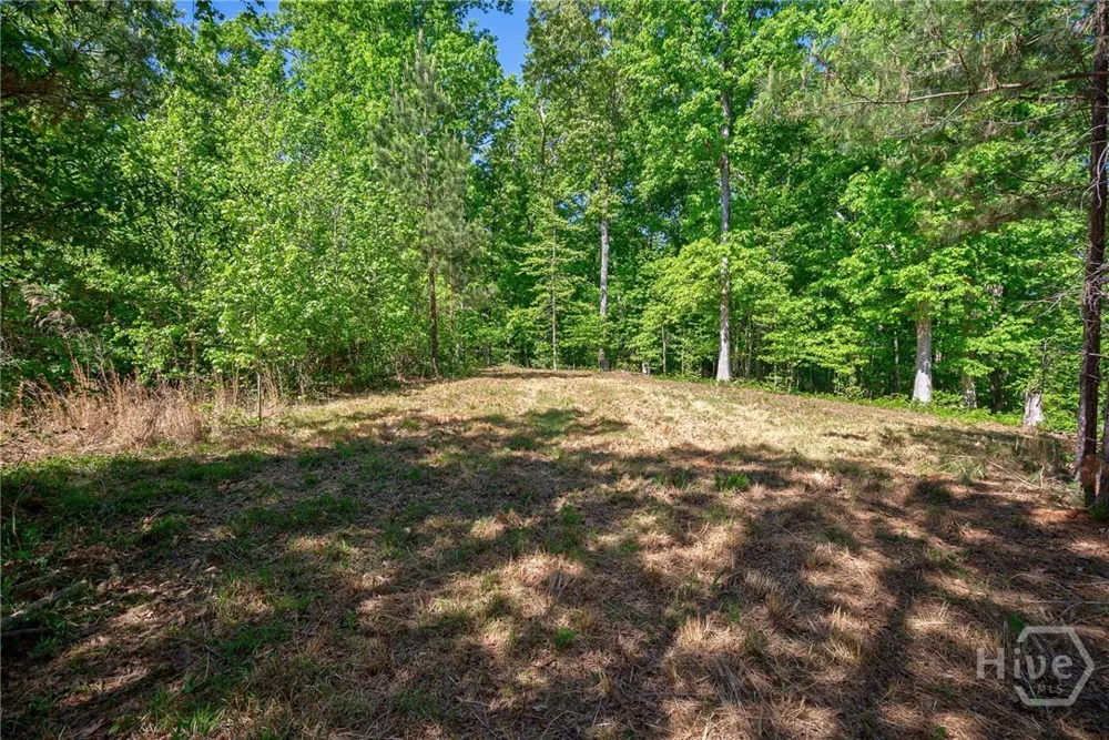 Brewer's Bridge Road Elberton, GA 30635