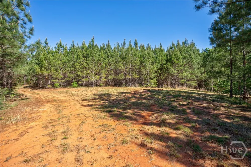 Brewer's Bridge Road Elberton, GA 30635