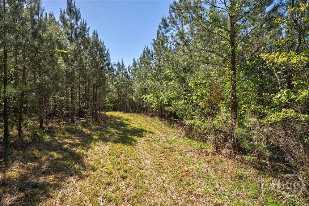 Brewer's Bridge Road Elberton, GA 30635