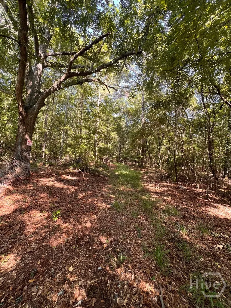 Rocky Drive Colbert, GA 30628