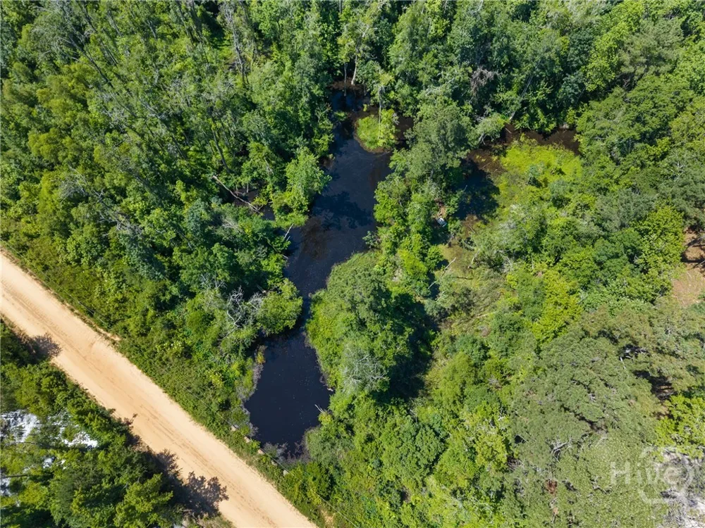 101 Doe Drive Brooklet, GA 30415