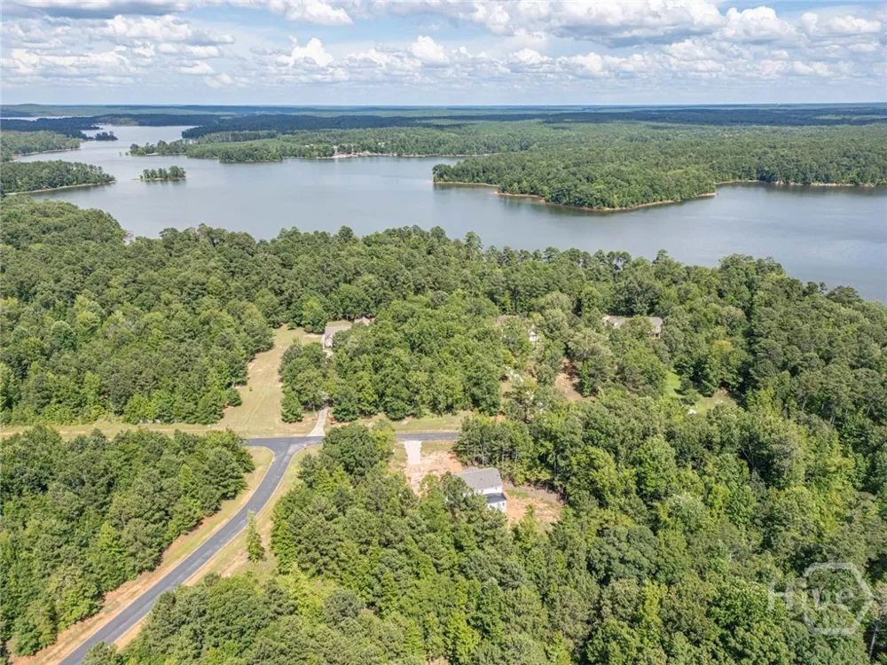 1021 Pointe S Tignall, GA 30668