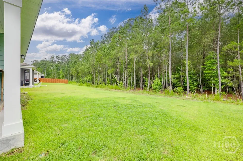 64 Shade Tree Drive Richmond Hill, GA 31324