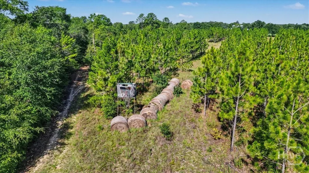 4781 L J ROAD Claxton, GA 30417