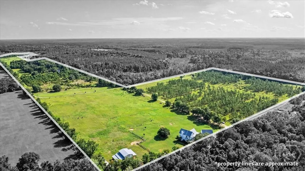 4781 L J ROAD Claxton, GA 30417