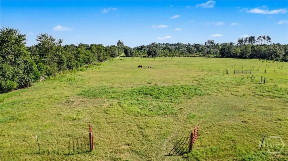 4781 L J ROAD Claxton, GA 30417