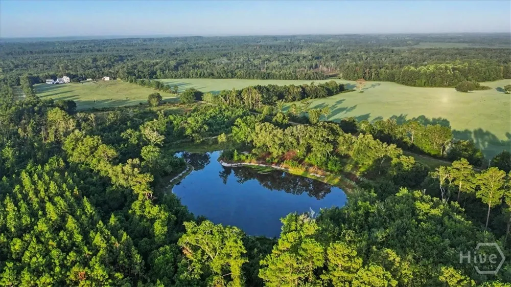 4781 L J ROAD Claxton, GA 30417