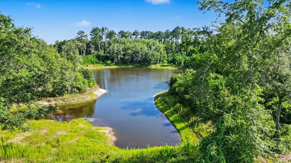 4781 L J ROAD Claxton, GA 30417