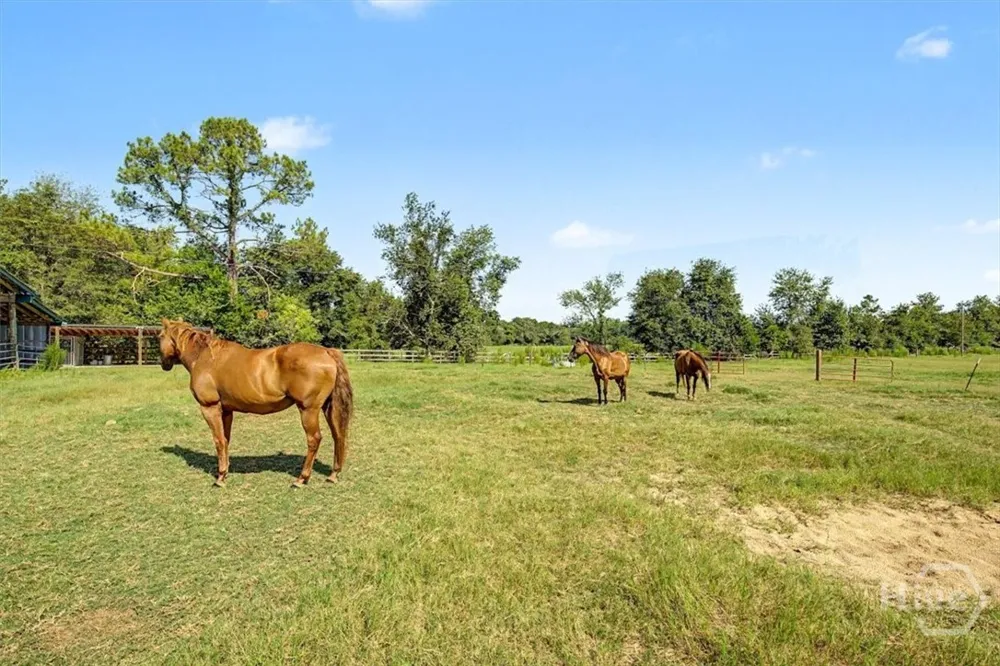 4781 L J ROAD Claxton, GA 30417