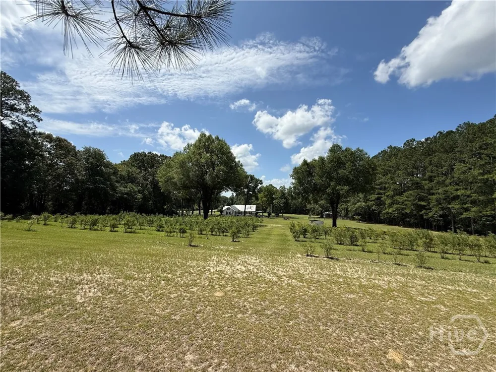 1693 Burtons Ferry Highway Sylvania, GA 30467