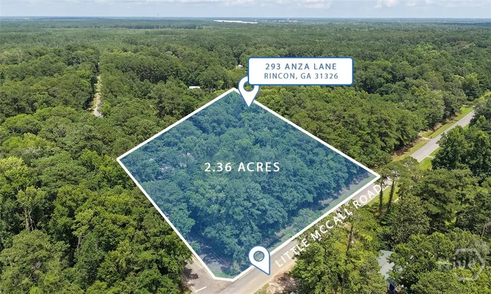 293 Anza Lane Rincon, GA 31326