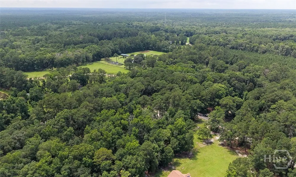 293 Anza Lane Rincon, GA 31326