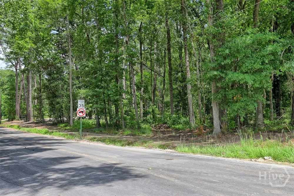 293 Anza Lane Rincon, GA 31326