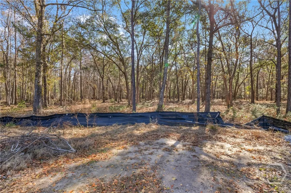 143 Wood Haven Lane Pooler, GA 31322