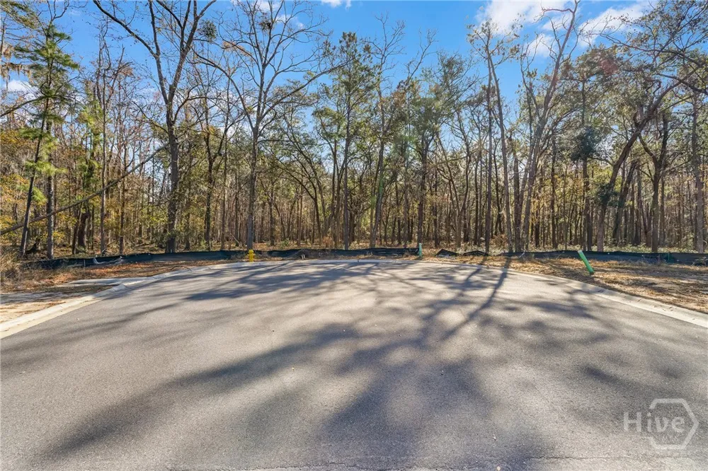 143 Wood Haven Lane Pooler, GA 31322