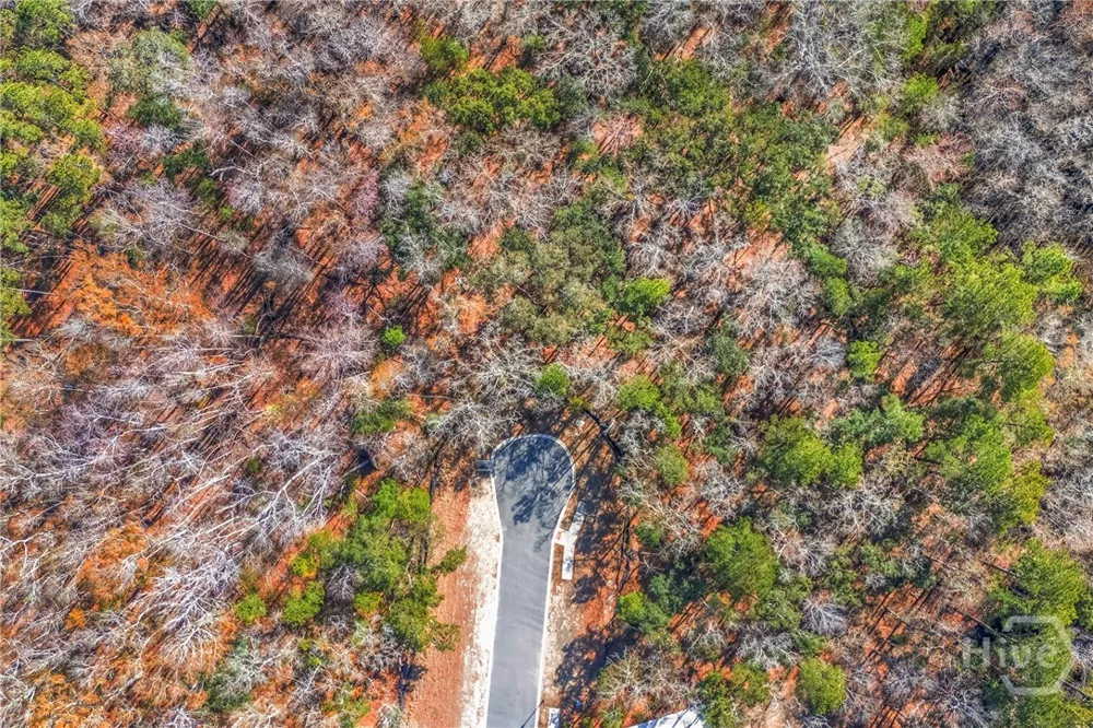 143 Wood Haven Lane Pooler, GA 31322