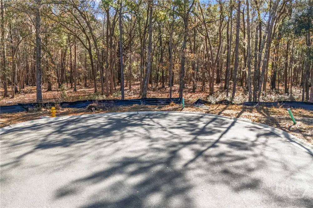 143 Wood Haven Lane Pooler, GA 31322