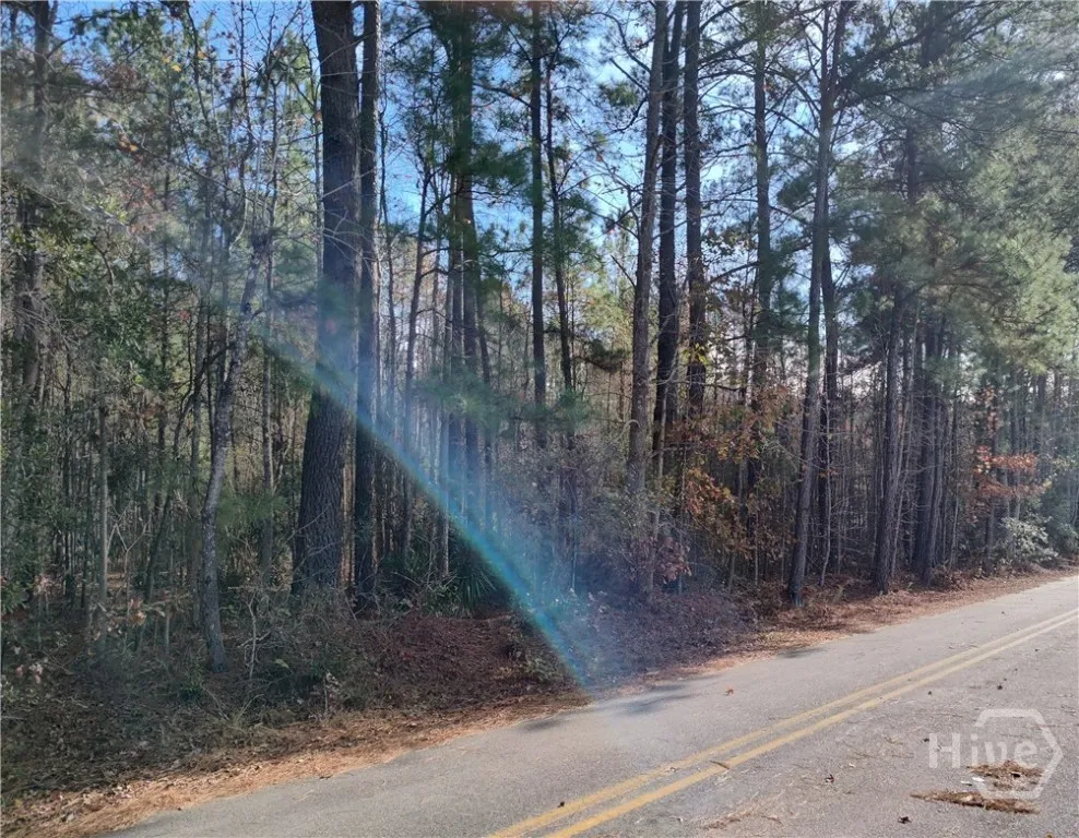 620 Morgan Street Pooler, GA 31322