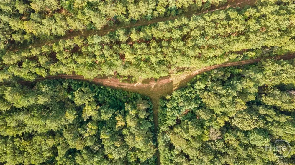 Lower Wirebridge Road Stephens, GA 30667
