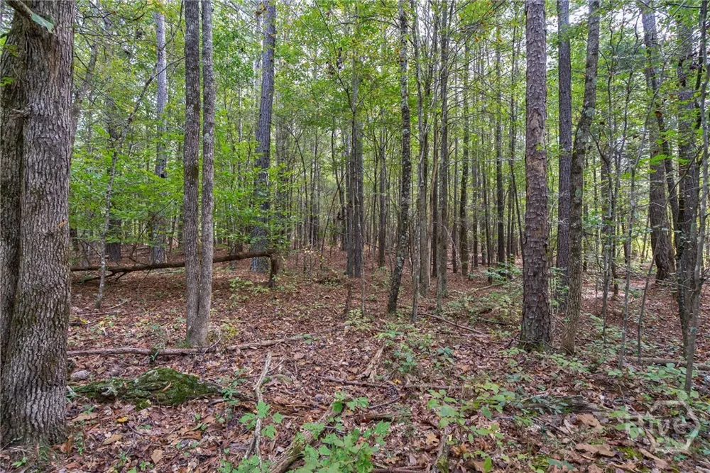Lower Wirebridge Road Stephens, GA 30667