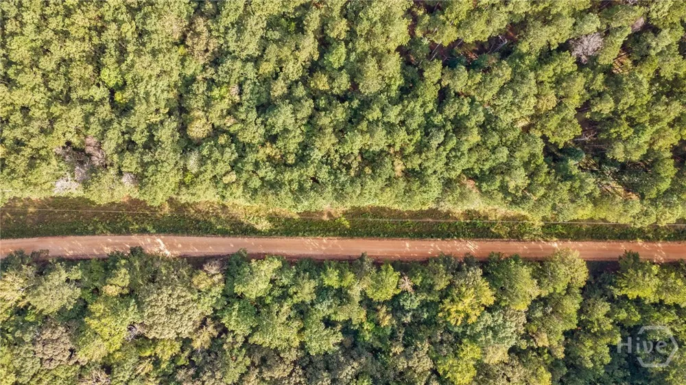 Lower Wirebridge Road Stephens, GA 30667
