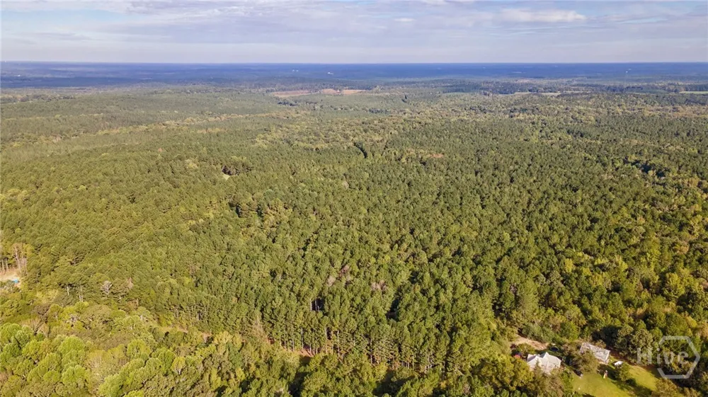 Lower Wirebridge Road Stephens, GA 30667