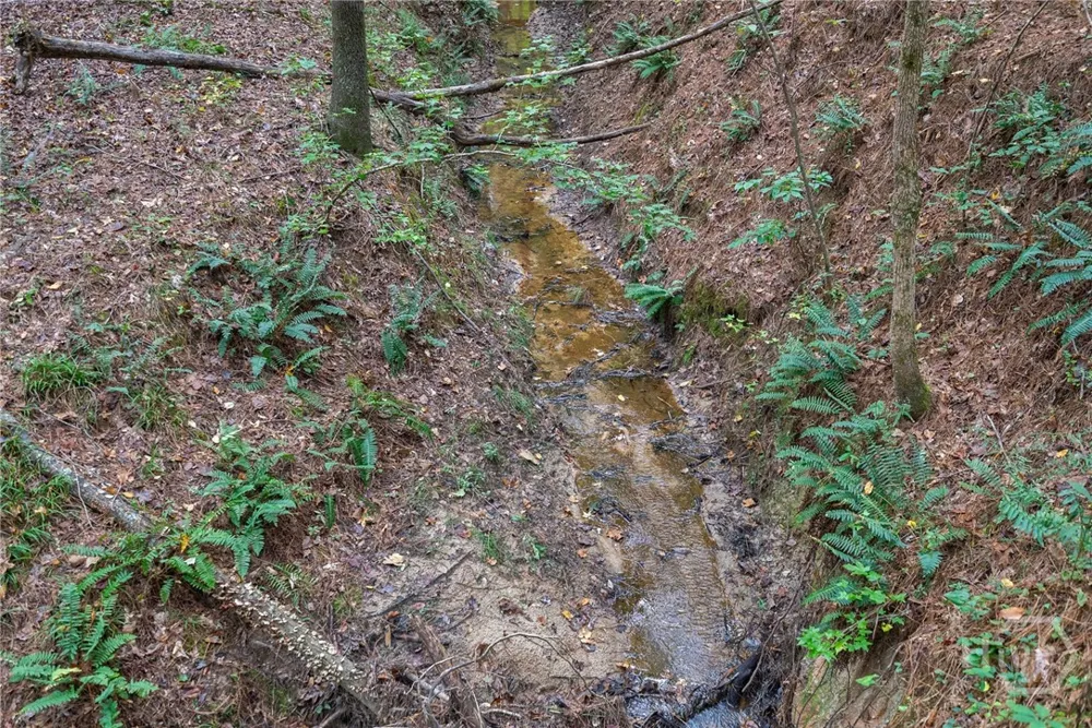 Lower Wirebridge Road Stephens, GA 30667