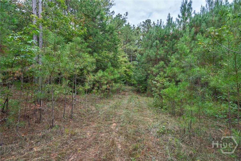 Lower Wirebridge Road Stephens, GA 30667