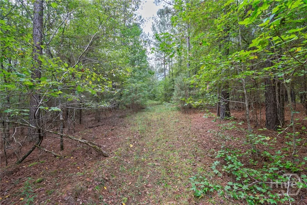 Lower Wirebridge Road Stephens, GA 30667