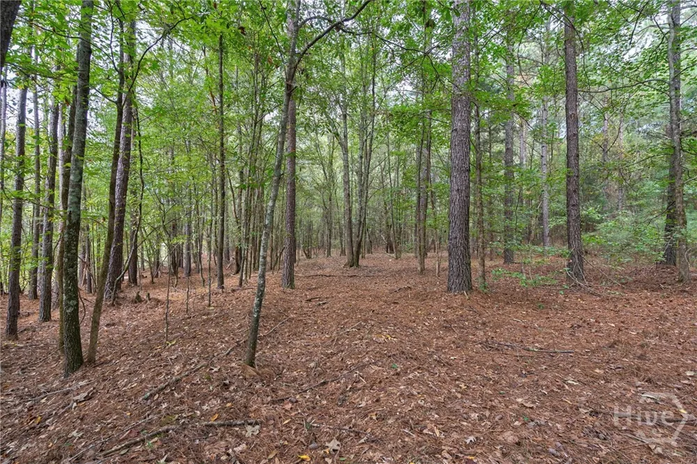 Lower Wirebridge Road Stephens, GA 30667