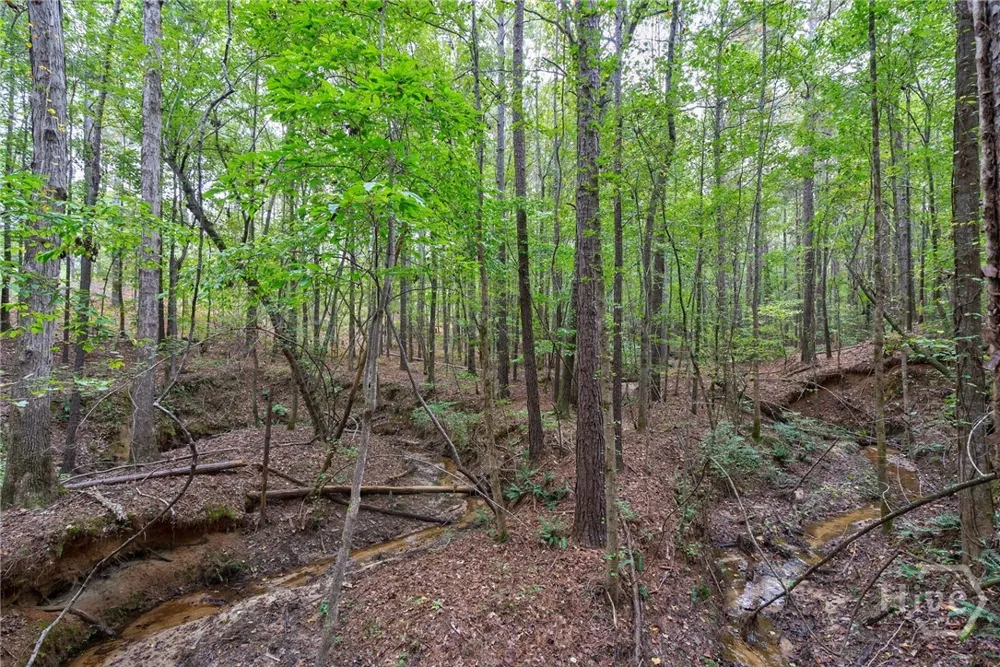 Lower Wirebridge Road Stephens, GA 30667