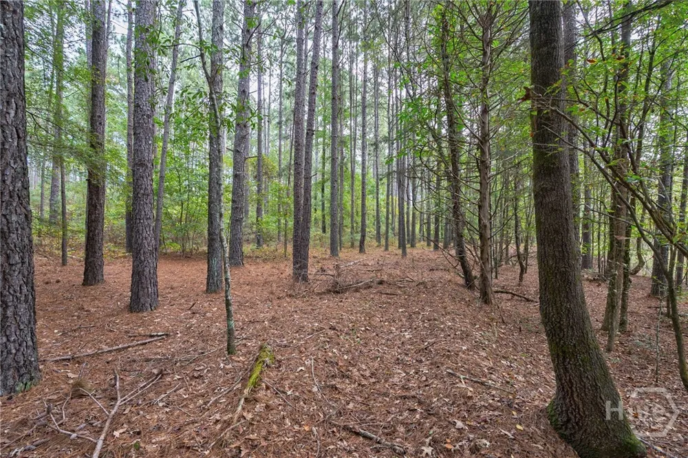 Lower Wirebridge Road Stephens, GA 30667