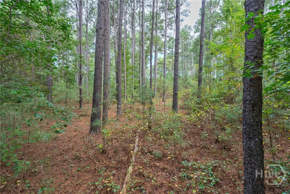 Lower Wirebridge Road Stephens, GA 30667