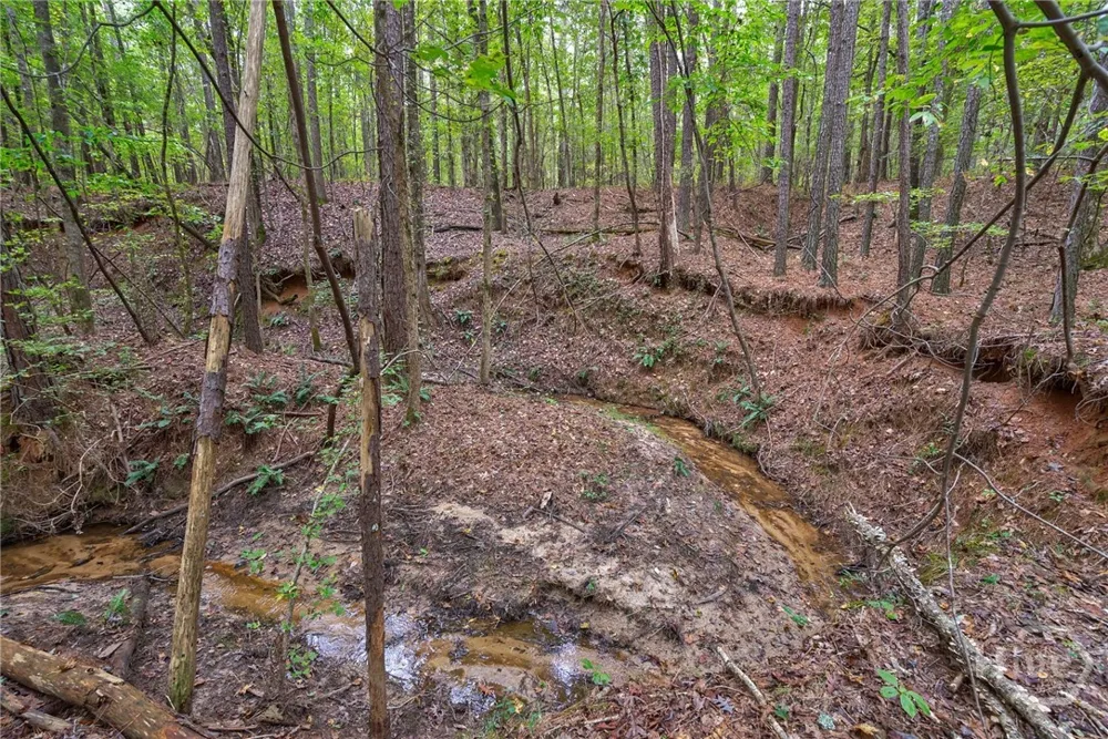 Lower Wirebridge Road Stephens, GA 30667