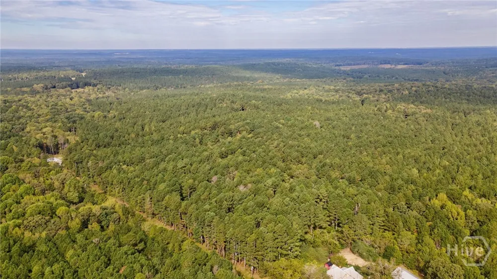 Lower Wirebridge Road Stephens, GA 30667