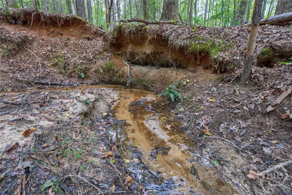 Lower Wirebridge Road Stephens, GA 30667
