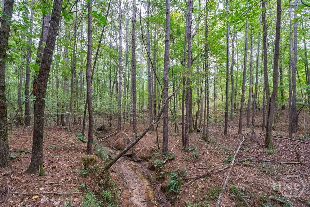 Lower Wirebridge Road Stephens, GA 30667
