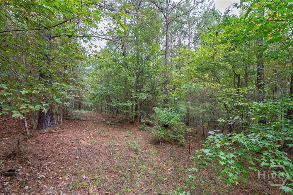 Lower Wirebridge Road Stephens, GA 30667