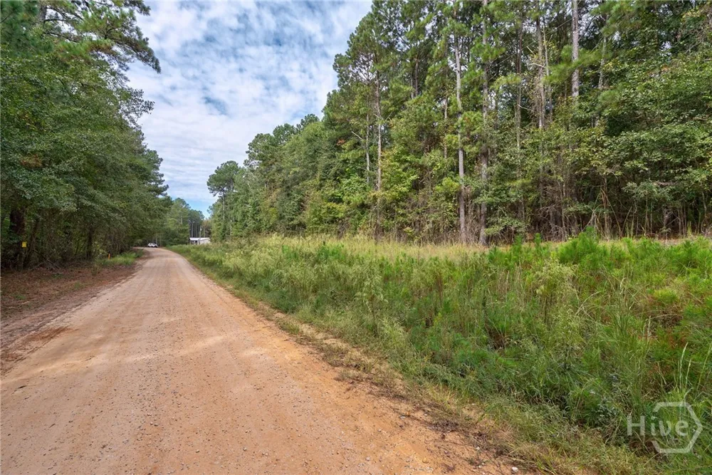 Lower Wirebridge Road Stephens, GA 30667