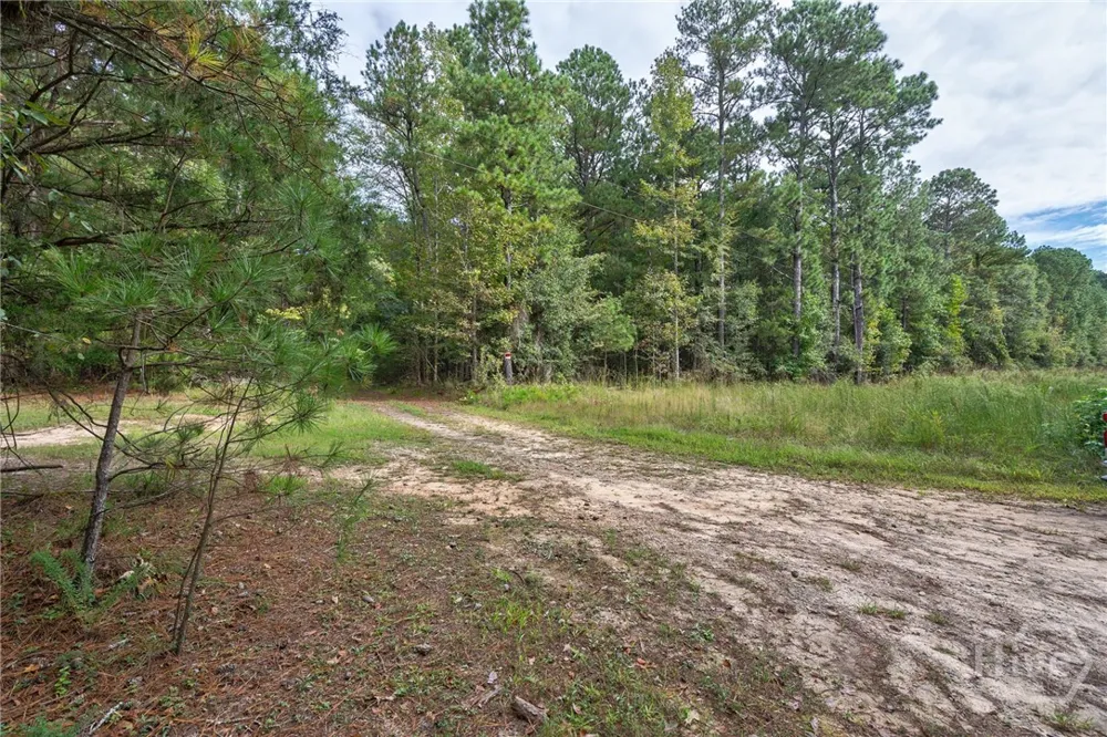 Lower Wirebridge Road Stephens, GA 30667