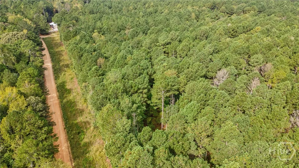 Lower Wirebridge Road Stephens, GA 30667