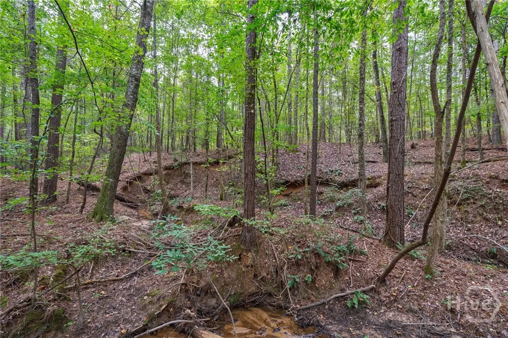 Lower Wirebridge Road Stephens, GA 30667