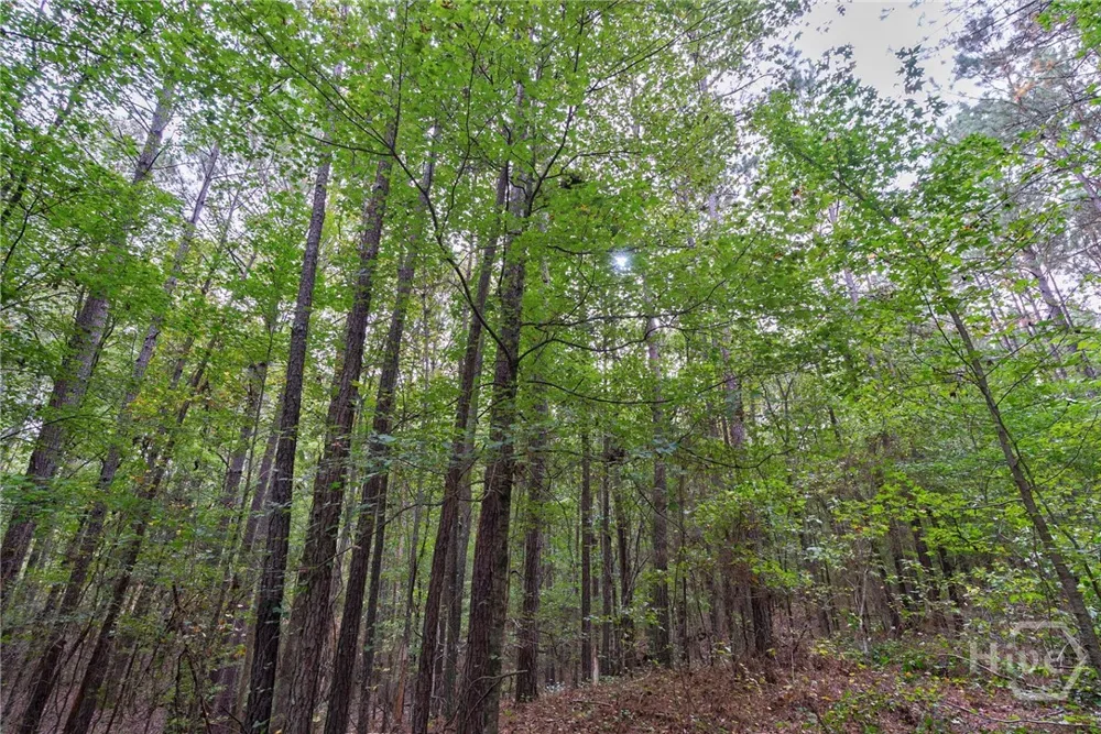 Lower Wirebridge Road Stephens, GA 30667